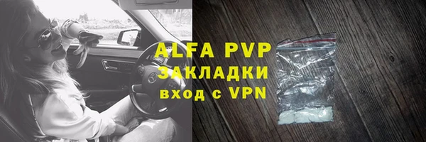 ГАЛЛЮЦИНОГЕННЫЕ ГРИБЫ Ельня