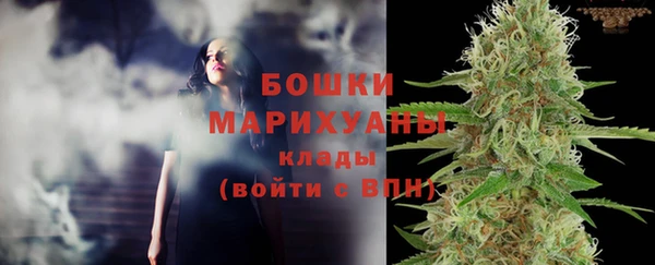 ГАЛЛЮЦИНОГЕННЫЕ ГРИБЫ Ельня