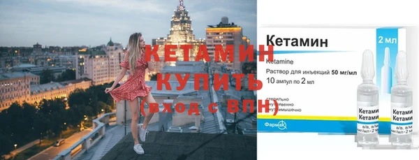 ГАЛЛЮЦИНОГЕННЫЕ ГРИБЫ Ельня