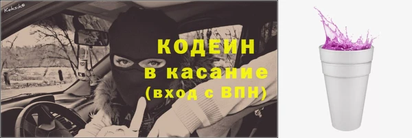 индика Заводоуковск