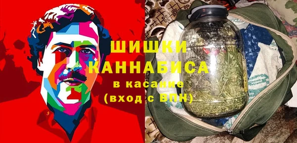 ГАЛЛЮЦИНОГЕННЫЕ ГРИБЫ Ельня