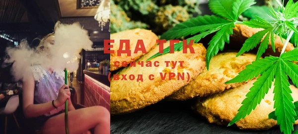 ГАЛЛЮЦИНОГЕННЫЕ ГРИБЫ Ельня