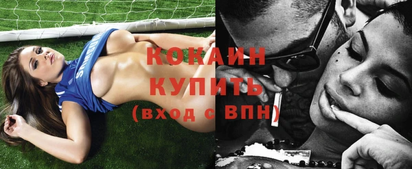 ГАЛЛЮЦИНОГЕННЫЕ ГРИБЫ Ельня