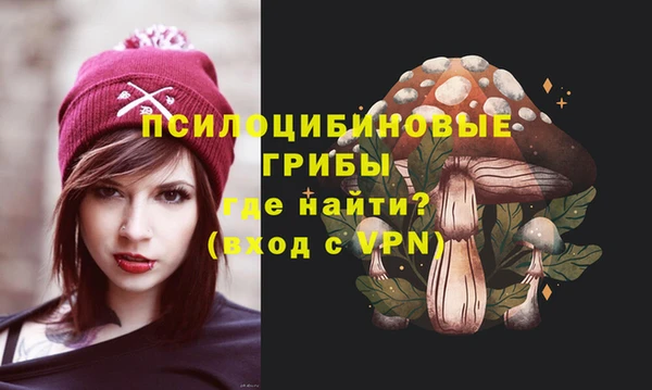 ГАЛЛЮЦИНОГЕННЫЕ ГРИБЫ Ельня