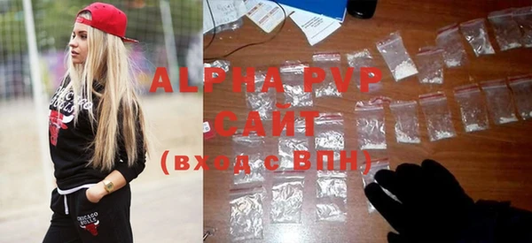 ГАЛЛЮЦИНОГЕННЫЕ ГРИБЫ Ельня