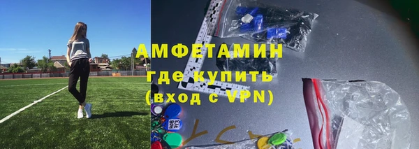 ГАЛЛЮЦИНОГЕННЫЕ ГРИБЫ Ельня