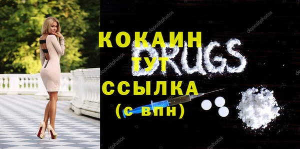 ГАЛЛЮЦИНОГЕННЫЕ ГРИБЫ Ельня