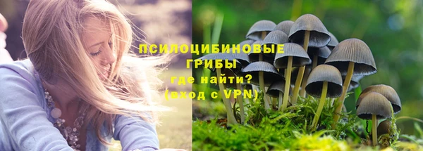 альфа пвп Елизово