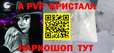 прущие грибы Камышлов