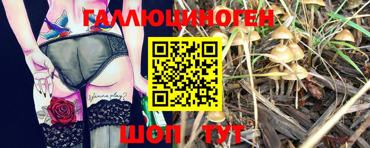 Галлюциногенные грибы ЛСД  Галлюциногенные грибы мицелий  Нижнекамск 