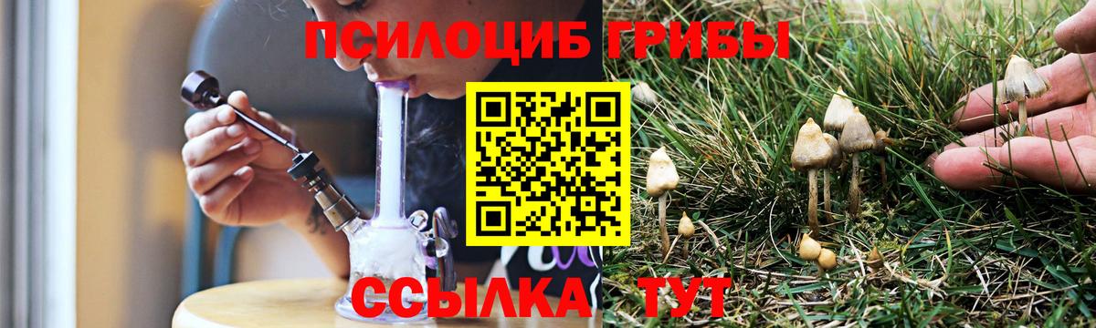 Галлюциногенные грибы мицелий Нижнекамск
